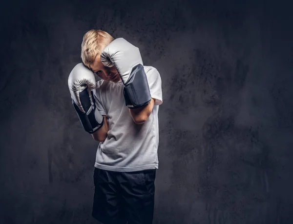 Pequeño Boxeador Con Pelo Rubio Vestido Con Una Camiseta Blanca —  Fotos de Stock