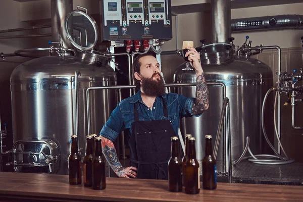 Bärtiger Tätowierter Hipster Mann Jeanshemd Und Schürze Der Einer Brauereifabrik — Stockfoto