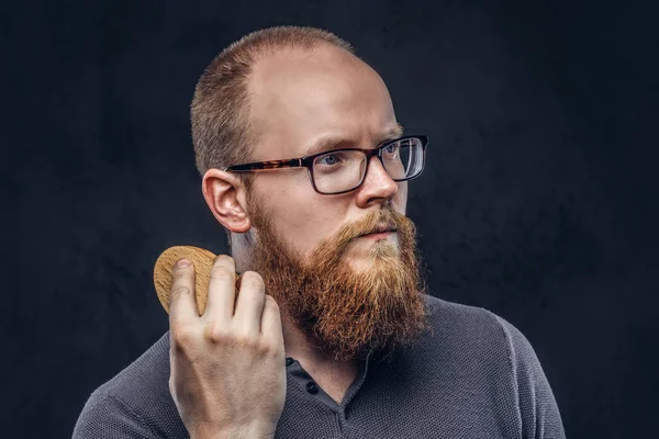 Close up portrait of a redhead bearded male wearing glasses dressed in a gray t-shirt, cares about his beard using a beard brush. Isolated on a dark textured background.