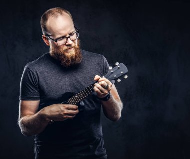 Kızıl saçlı gözlüklü bir ukulele üzerinde oynarken Gri tişört giymiş erkek müzisyen sakallı. Karanlık dokulu arka plan üzerinde izole. 