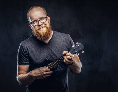 Mutlu kızıl saçlı gözlüklü bir ukulele üzerinde oynarken Gri tişört giymiş erkek müzisyen sakallı. Karanlık dokulu arka plan üzerinde izole.  