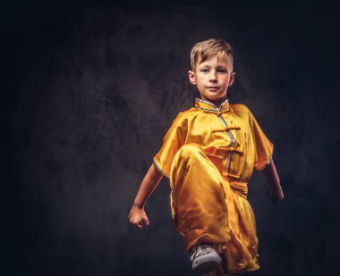 Bir Tibet monk geleneksel kostüm giymiş yakışıklı sağlık gelen hile karmaşık Studio gösterir.