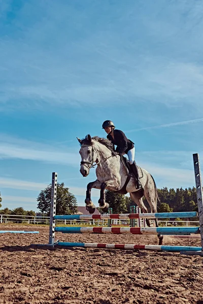 Female jockey on dapple gray horse jumping over hurdle in the open arena. — Stock Photo, Image