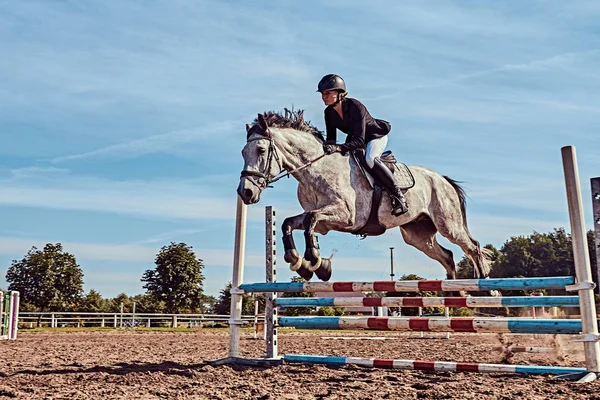 Jockeys auf Apfelschimmel springen über Hürde in der offenen Arena. — Stockfoto