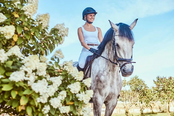 Jockey femenino sonriente sobre caballo gris manzana caminando por el jardín floreciente . —  Fotos de Stock