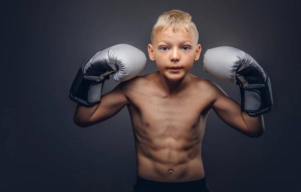 Jovem pugilista sem camisa com luvas de boxe posando em um estúdio . — Fotografia de Stock