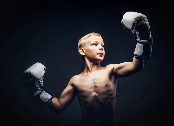 Bar överkropp pojke boxer med boxhandskar poserar i en studio. — Stockfoto