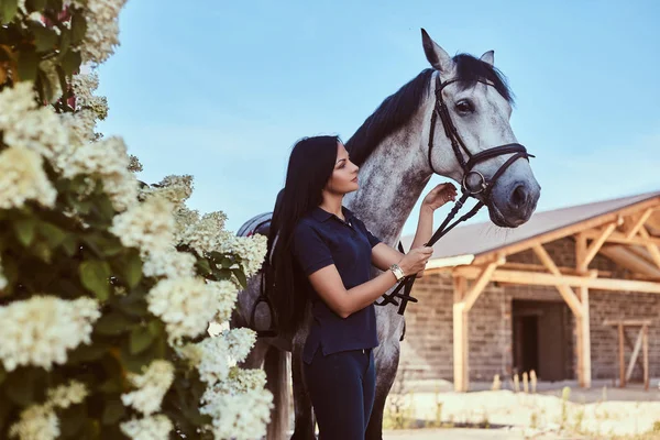 Schöne brünette Mädchen streichelt ihr graues Pferd in der Nähe von Fliederbüschen im Garten. — Stockfoto