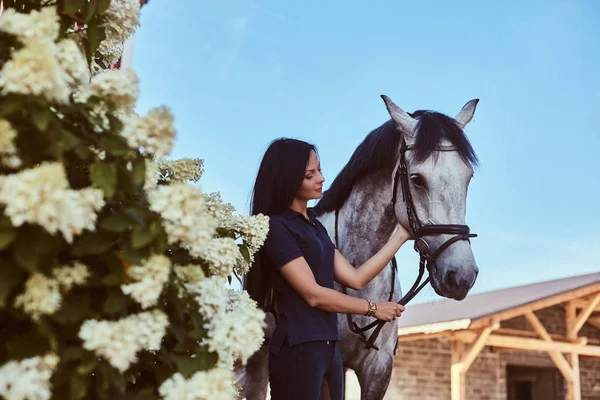 庭のライラックの茂みの近くの彼女の灰色の馬をなでる美しいブルネットの少女. — ストック写真