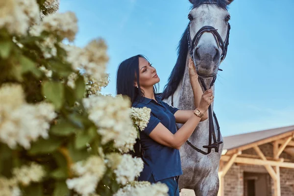 Schöne brünette Mädchen streichelt ihr graues Pferd in der Nähe von Fliederbüschen im Garten. — Stockfoto