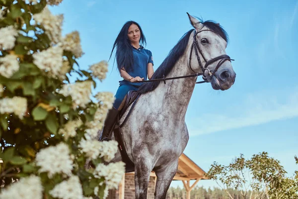 Красива брюнетка жінка верхи на сірому коні біля бузкових кущів в саду . — стокове фото