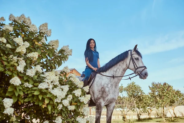 Красива брюнетка жінка верхи на сірому коні біля бузкових кущів в саду . — стокове фото