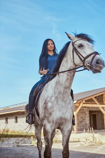Morena hembra montando un caballo gris manzana fuera . —  Fotos de Stock