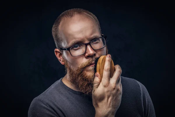 Close up portrait of a redhead bearded male wearing glasses dressed in a gray t-shirt, cares about his beard using a beard brush. Isolated on a dark textured background.
