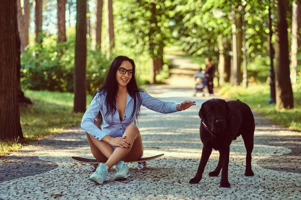 戴眼镜的快乐性感黑发女孩穿着衬衫和短裤坐在滑板上 与她的狗在公园散步 — 图库照片