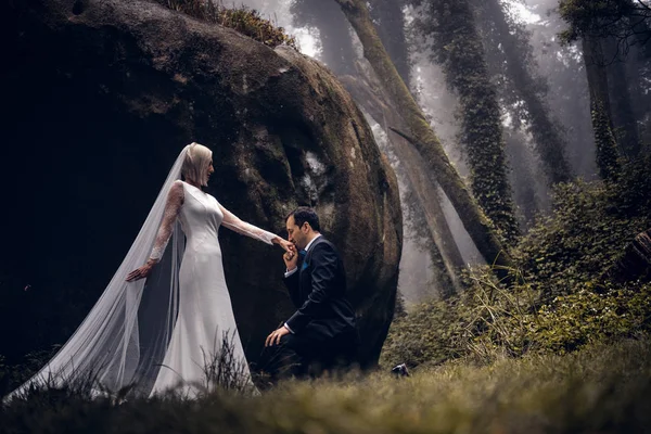 Casal Encantador Recém Casados Noiva Noivo Uma Bela Floresta Misteriosa — Fotografia de Stock