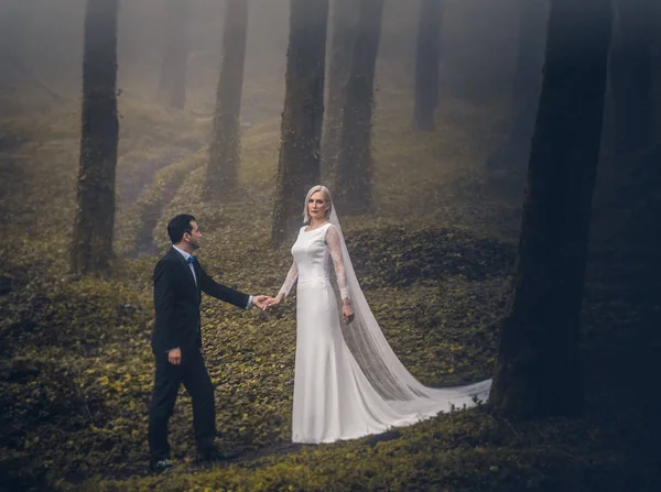 Lovely couple of newlyweds - bride and groom at a beautiful mystery forest with amazing autumn fog.