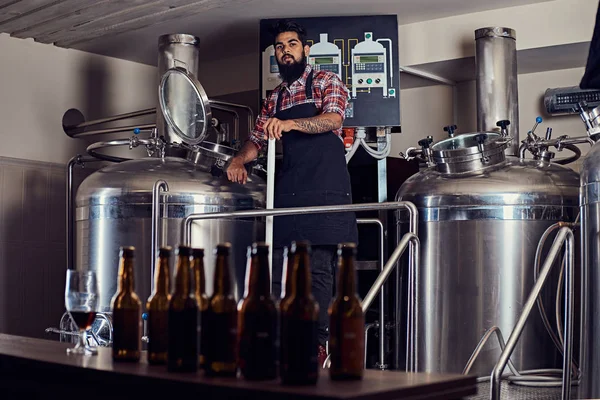 フリース シャツとエプロンでスタイリッシュな完全なひげを生やしたインド男制御醸造の過程では 近くのビール醸造所のタンクに立って — ストック写真