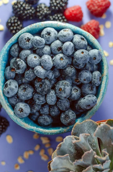 Fresh Berries Blueberries Plate Blackberries Raspberries Blue Background — Stock Photo, Image