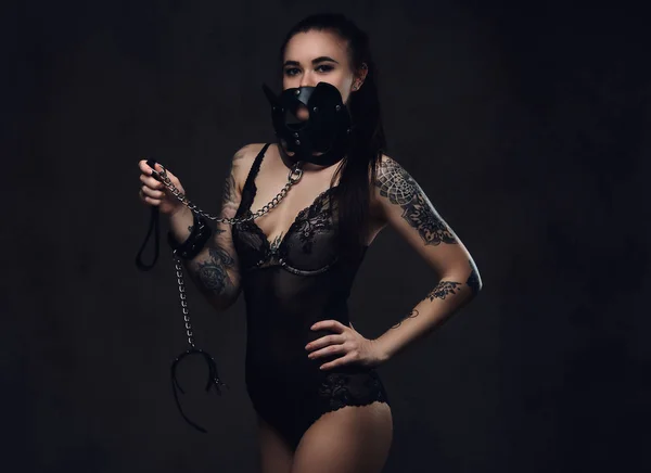 Seductive Sensual Mistress Girl Wearing Black Lingerie Bdsm Accessories Cat — Stock Photo, Image