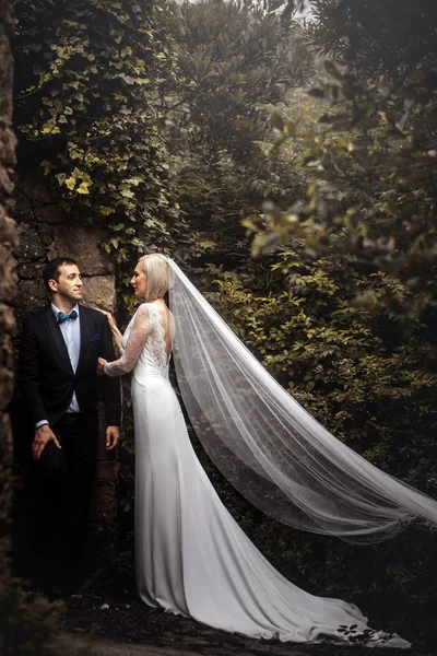 Casal Encantador Recém Casados Noiva Noivo Abraçando Uma Bela Floresta — Fotografia de Stock