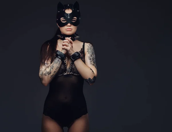 Geboeid Hete Brunette Meesteres Meisje Dragen Zwarte Lingerie Bdsm Kat — Stockfoto