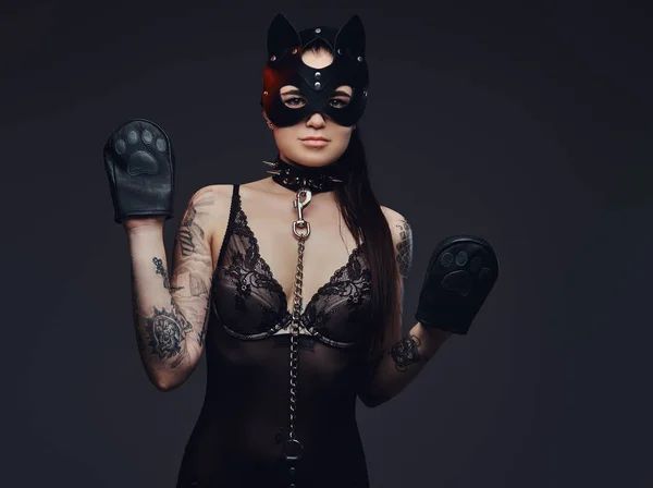 Seductive Sensual Mistress Girl Wearing Black Lingerie Bdsm Accessories Cat — Stock Photo, Image