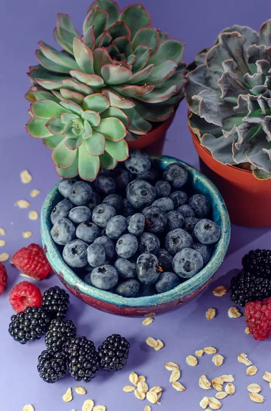 Fresh Berries Blueberries Plate Blackberries Raspberries Blue Background — Stock Photo, Image
