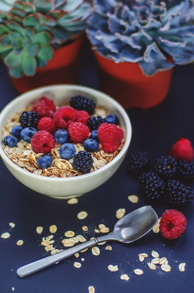 Colazione Sana Piatto Bianco Con Farina Avena Cosparsa Bacche Diverse — Foto Stock