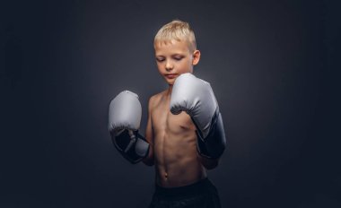 Gömleksiz delikanlı boksör boks eldivenli bir stüdyoda poz.