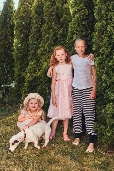 Retrato Tres Hermanas Felices Con Perrito Césped Parque — Foto de Stock