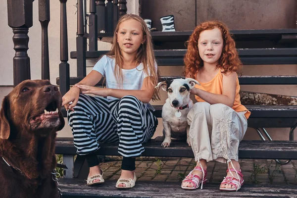 Zwei Schwestern Sitzen Mit Ihren Hunden Auf Der Treppe Einem — Stockfoto