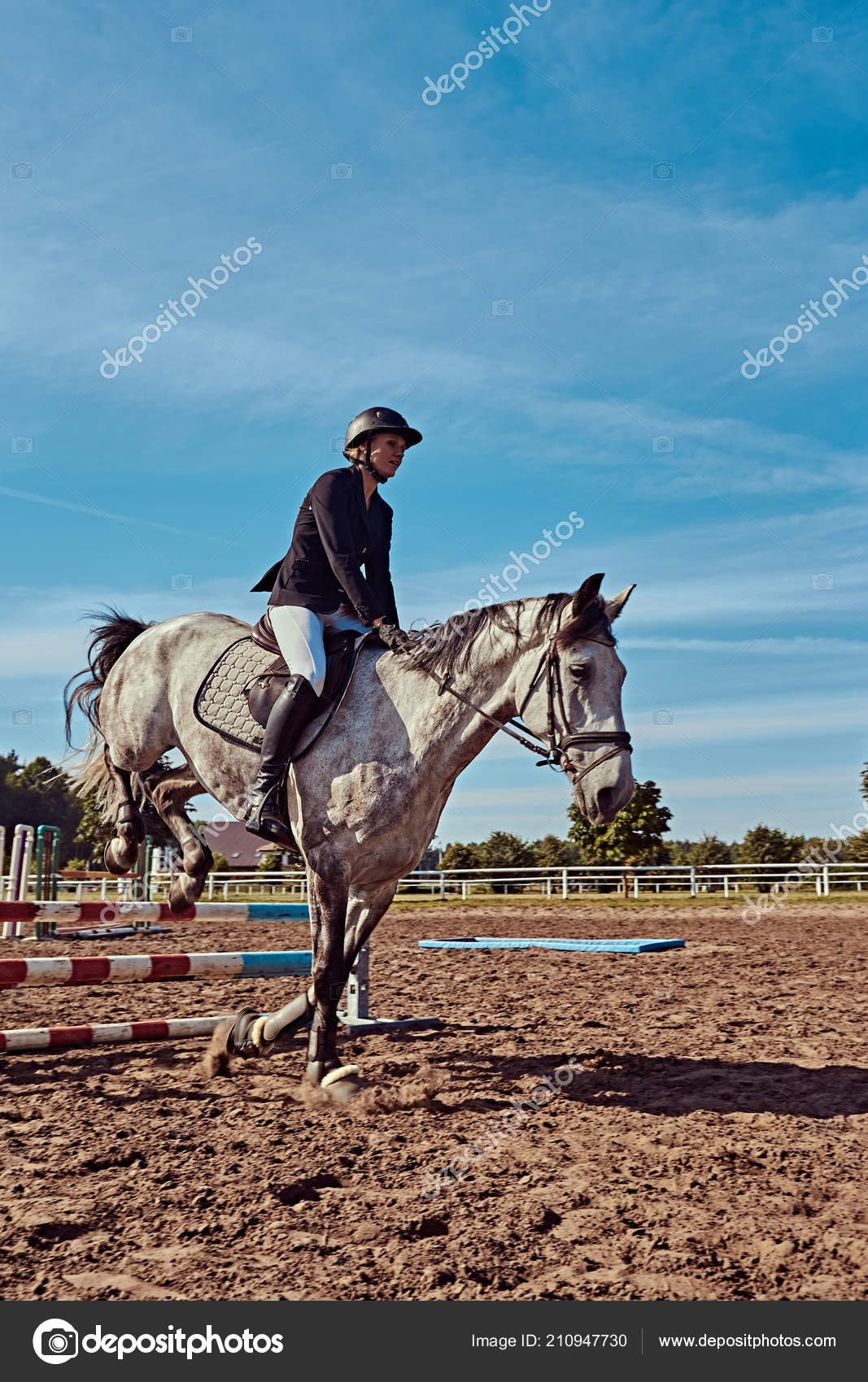 Foto de Cavalo Cinza Dapple Pulando Sobre Obstáculo e mais fotos