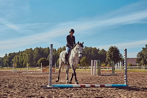 若い女性が開いた競技場でハードルを飛び越えてタイガーの灰色の馬の騎手します — ストック写真