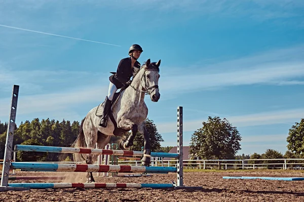 Junge Jockeys Auf Apfelschimmel Springen Über Hürde Der Offenen Arena — Stockfoto