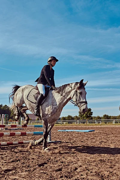 Foto de Cavalo Pulando Obstáculos Durante O Treinamento De Escola