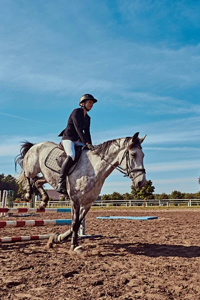 Garota Equestre Pulando Obstáculo Com Cavalo Cinza-maçã Imagem de