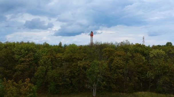 空中拍摄绿色夏日森林和高高的灯塔对着天空 — 图库视频影像