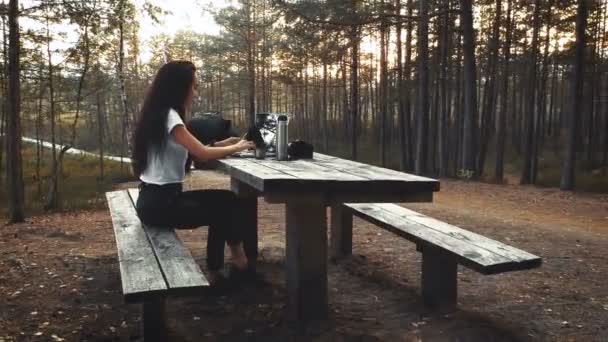 Sensual Hipster Girl Working Laptop Outdoors Resting Beautiful Autumn Forest — Stock Video