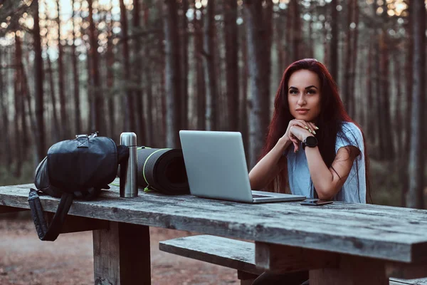 다운가 숲에서 노트북과 벤치에 앉아있는 카메라를 셔츠에 잠겨있는 Hipster — 스톡 사진