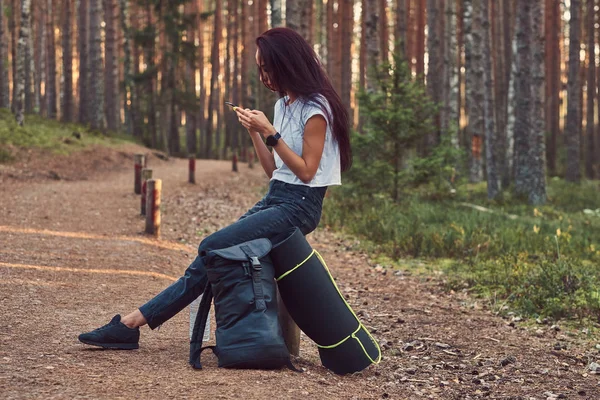 Slim hipster turista chica usando un teléfono inteligente mientras está sentado en un poste de madera en un hermoso bosque de otoño . — Foto de Stock