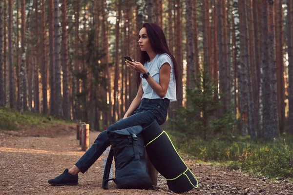 Slim hipster turista chica usando un teléfono inteligente mientras está sentado en un poste de madera en un hermoso bosque de otoño . — Foto de Stock