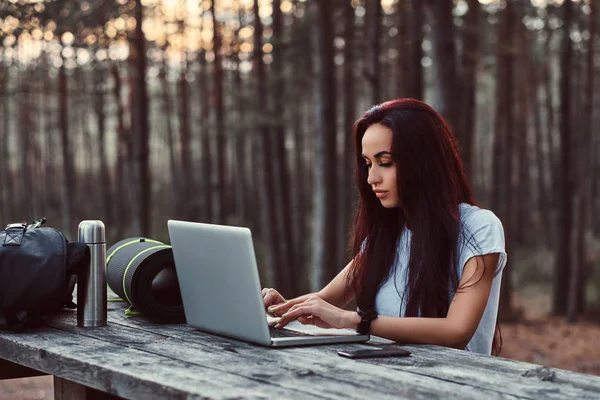 Turysta hipster dziewczyna w białej koszuli działa na laptopie siedząc na ławce drewniane w piękny jesienny Las. — Zdjęcie stockowe