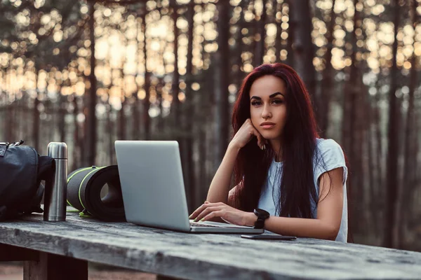 Pensive hipster girl in white shirt looking at camera while sitting on a wooden bench with an open laptop in the beautiful autumn forest. — Stock Photo, Image