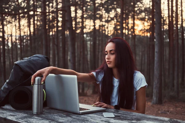 Csípő lány dolgozik egy laptop, egy fából készült padon, miközben egy kis szünetet a gyönyörű őszi erdőben. — Stock Fotó