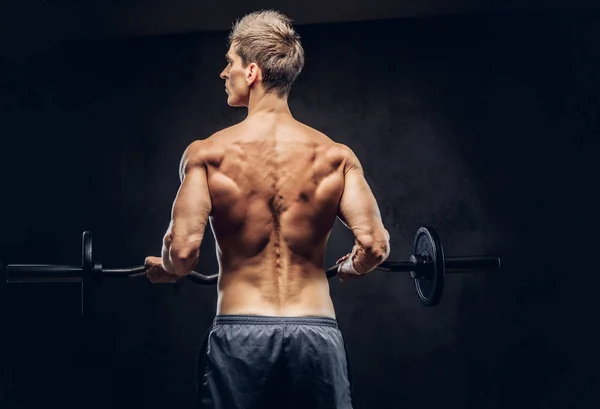Rückenansicht des hemdslosen Mannes mit stylischem Haar und muskulösem Ektomorph bei den Übungen mit der Langhantel. — Stockfoto