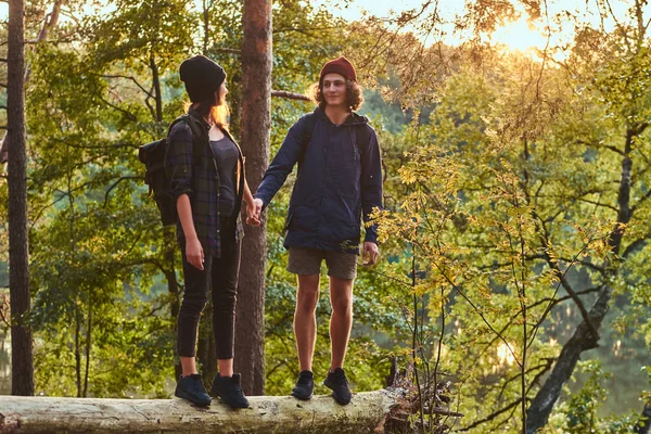 Güzel bir ormandaki bir ağaç gövdesi üzerinde günbatımında ayakta el ele tutuşarak genç hippi çift. Seyahat, turizm ve zammı kavramı. — Stok fotoğraf