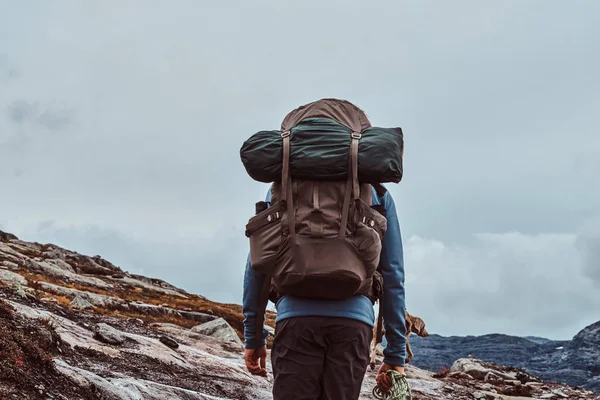 Turista con su lindo perro senderismo en las montañas de Noruega . —  Fotos de Stock