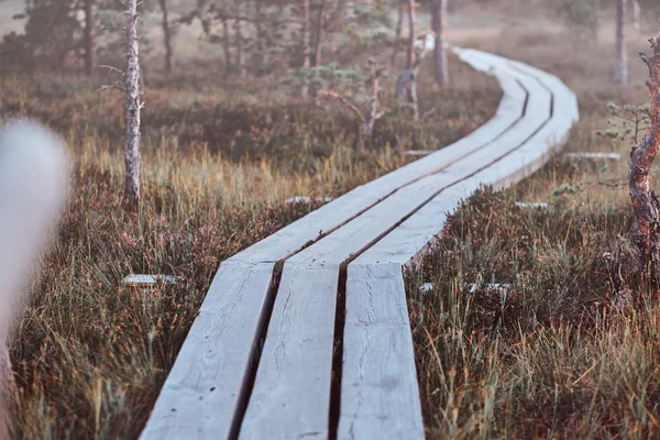 Sentiero in legno su un bellissimo prato autunnale nel bosco . — Foto Stock
