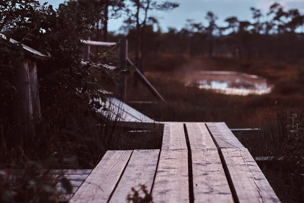 Wooden footpath on a beautiful autumn meadow in forest at sunset. — Stock Photo, Image